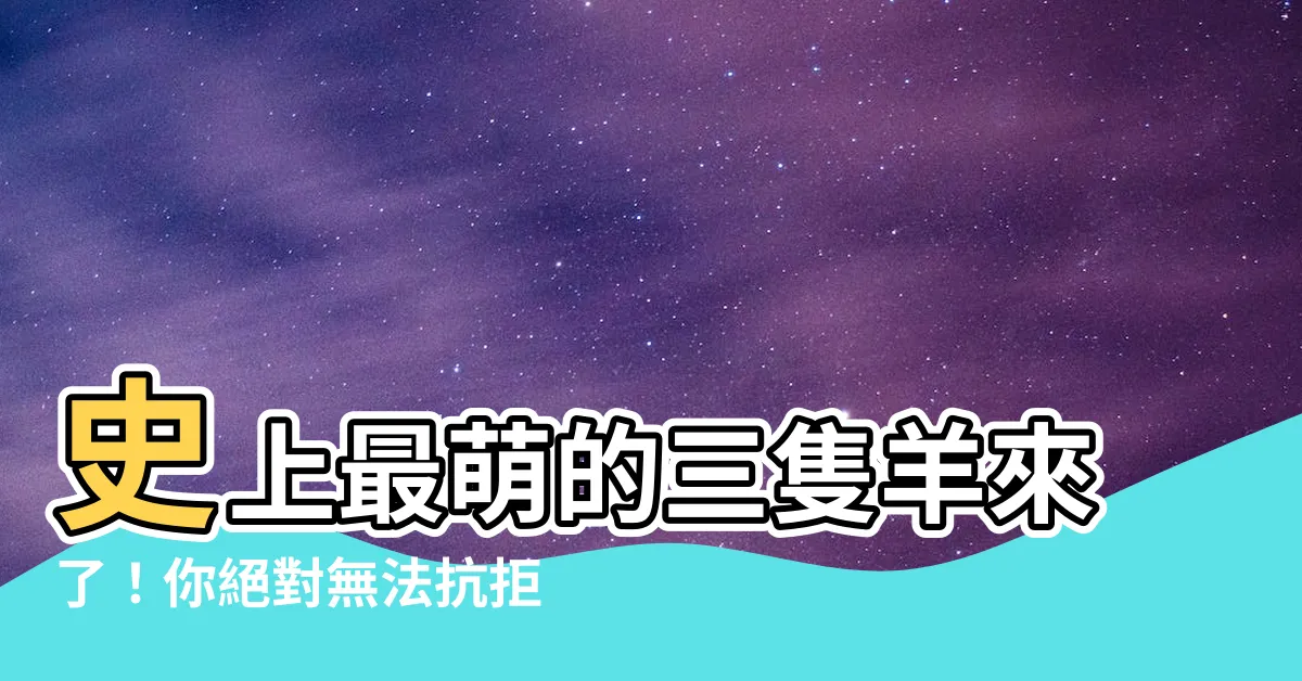 【羊】史上最萌的三隻羊來了！你絕對無法抗拒牠們的超凡魅力