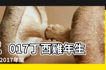 【2017年屬龍的小人生肖】2017丁酉雞年生肖 |2017年屬龍的貴人是誰 |震乾預測12生肖2017年運勢 |