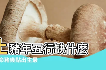 【屬豬缺土】土豬年五行缺什麼 |土命豬幾點出生最好 |土命屬豬的人五行缺什麼 |