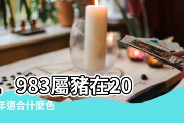 【83年屬豬2017年幸運數字】1983屬豬在2017年適合什麼色 |屬豬的終身的幸運數字 |2017年屬豬人的幸運色和幸運數字 |