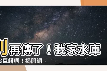 【我家水庫真沒巨蟒啊】別再傳了！我家水庫真沒巨蟒啊！揭開網路謠言背後的真相