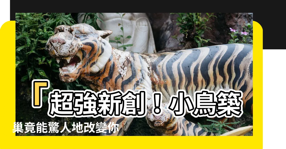 【小鳥築巢】「超強新創！小鳥築巢竟能驚人地改變你的居家風水運勢！」