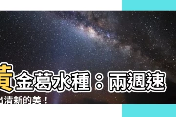 【黃金葛水種】黃金葛水種：兩週速養出清新的美！