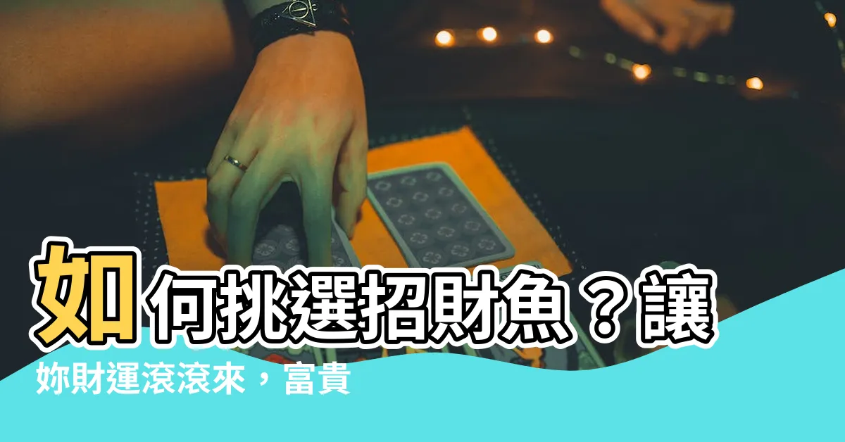 【養什麼魚招財】如何挑選招財魚？讓妳財運滾滾來，富貴滿堂