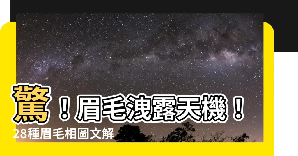 【眉毛相】驚！眉毛洩露天機！28種眉毛相圖文解析，揭曉你的命運與個性！