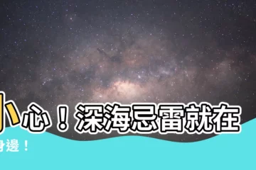 【忌雷】小心！深海忌雷就在你身邊！