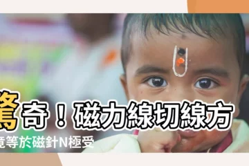 【磁力線切線方向】驚奇!磁力線切線方向竟等於磁針N極受力的方向!