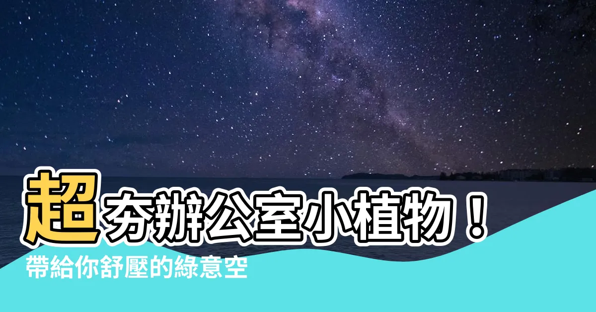 【辦公室小植物】超夯辦公室小植物！帶給你舒壓的綠意空間