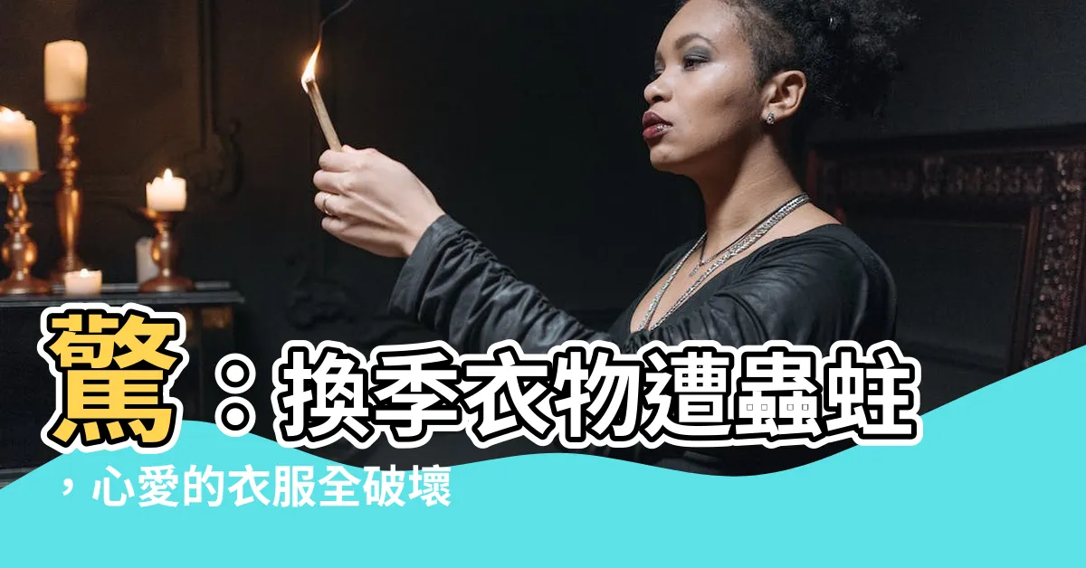 【破壞了】驚：換季衣物遭蟲蛀，心愛的衣服全破壞了！