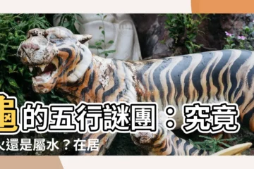【龜 五行】龜的五行謎團：究竟屬火還是屬水？在居家風水又有什麼玄機？