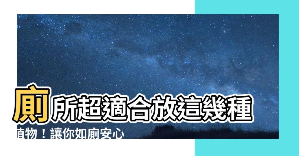 【廁所要放什麼植物】廁所超適合放這幾種植物！讓你如廁安心、提升運勢