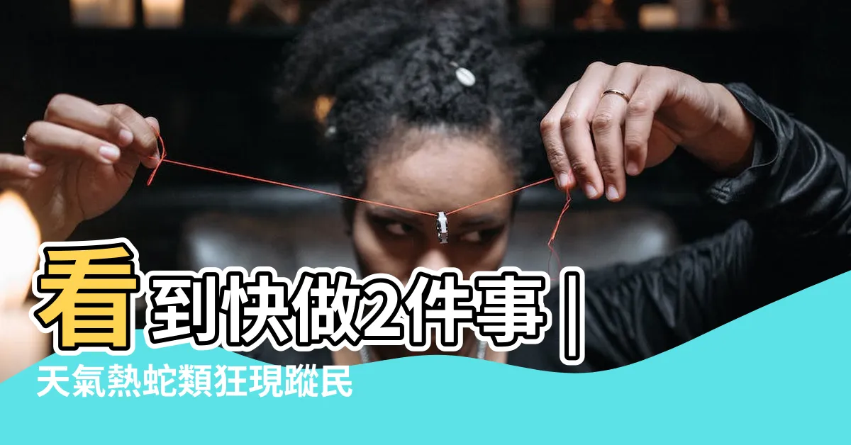 【看到蛇會怎樣】看到快做2件事 |天氣熱蛇類狂現蹤民俗專家 |搜索結果 |