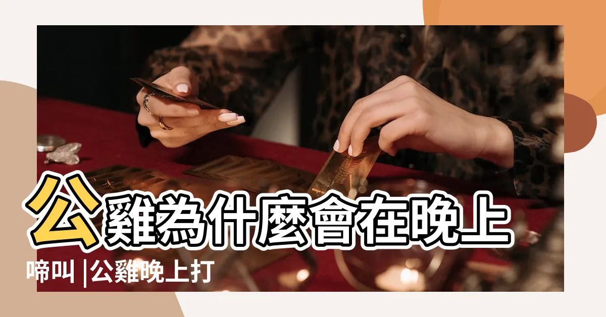 【公雞晚上叫】公雞為什麼會在晚上啼叫 |公雞晚上打鳴怎麼回事 |為什麼公雞晚上10點鳴叫 |