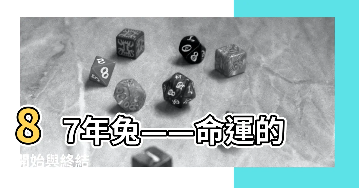 【87年兔】87年兔——命運的開始與終結