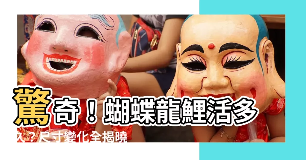 【蝴蝶龍鯉壽命】驚奇！蝴蝶龍鯉活多久？尺寸變化全揭曉