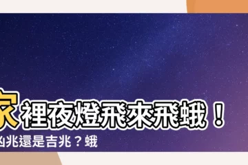 【家裡飛來蛾】家裡夜燈飛來飛蛾！是凶兆還是吉兆？蛾子寓意大公開