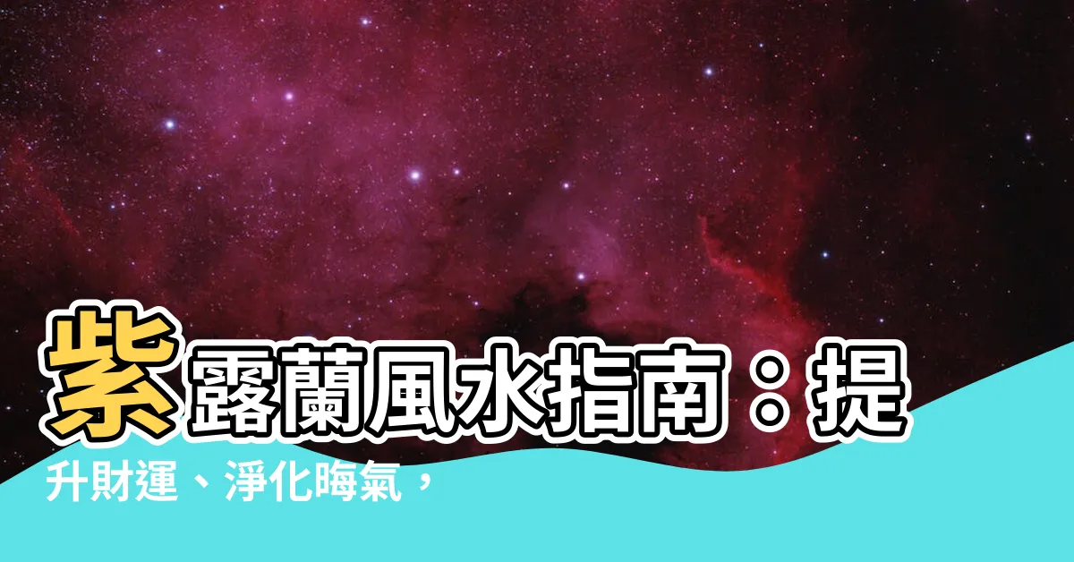 【紫露蘭風水】紫露蘭風水指南：提升財運、淨化晦氣，打造居家好風水！