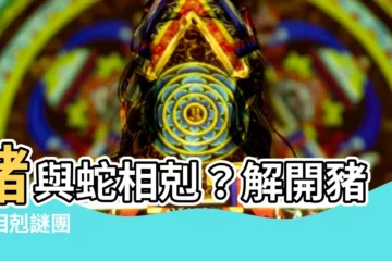 【蛇和豬相沖嗎】豬與蛇相剋？解開豬蛇相剋謎團
