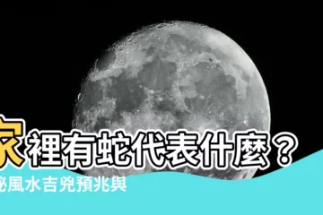 【家裡有蛇代表什麼】家裡有蛇代表什麼？揭秘風水吉兇預兆與避免入侵妙招