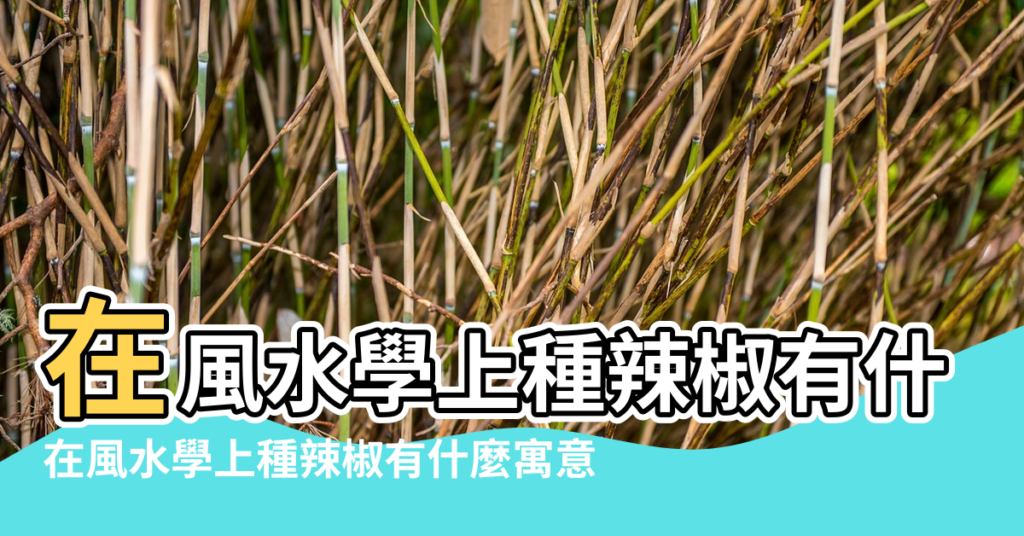 【尖椒在風水上起什麼作用】在風水學上種辣椒有什麼寓意 |在風水學上種辣椒有什麼寓意 |風水效果 |