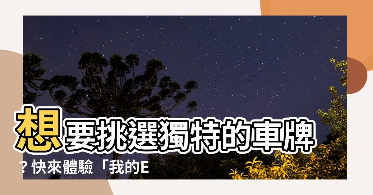 【挑車牌】想要挑選獨特的車牌？快來體驗「我的E政府」選號標牌服務！