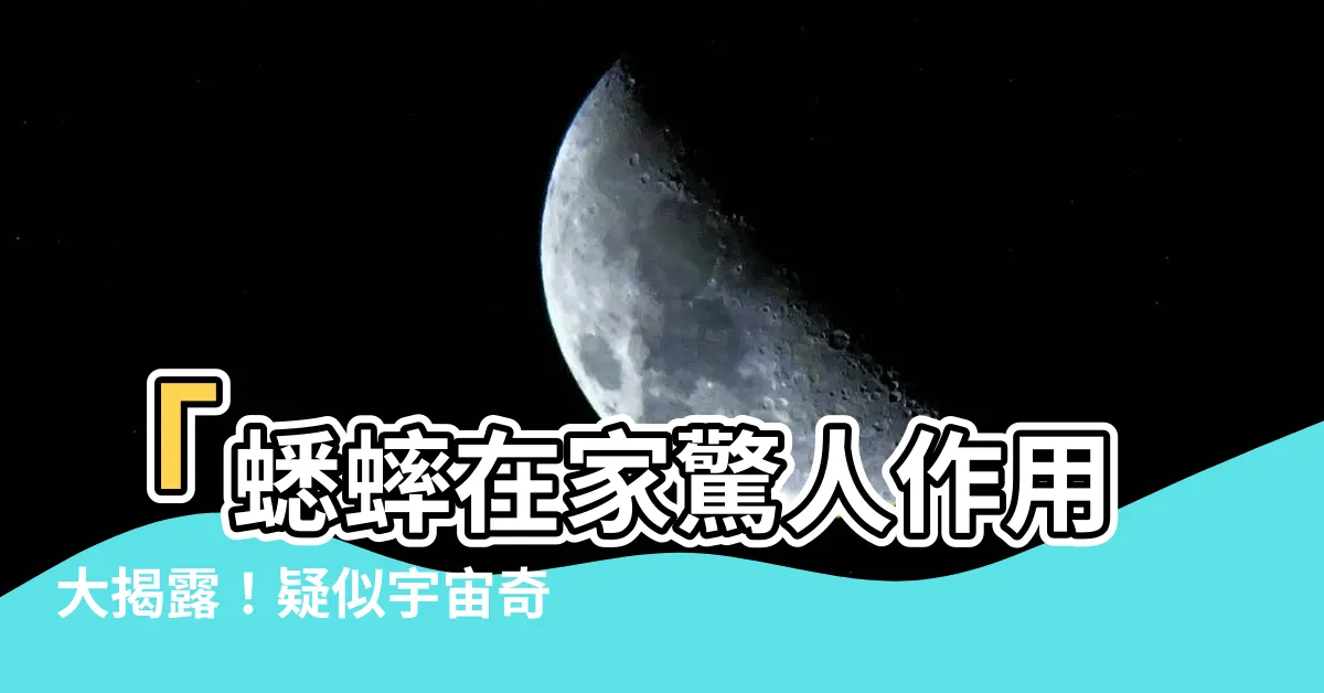 【蟋蟀在家】「蟋蟀在家驚人作用大揭露！疑似宇宙奇蹟，數十萬人瘋狂尋找！」