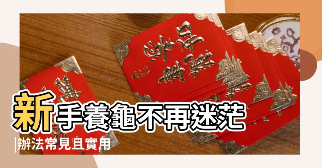 新手養龜不再迷茫 |辦法常見且實用 |在家裏怎麼養烏龜才是正確的 |【怎樣養烏龜是正確的】
