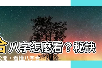 【合八字怎麼看】合八字怎麼看？秘訣大公開，看懂八字合不合，助你愛情婚姻不迷路