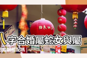 【男屬蛇女屬豬八字配】八字合婚屬蛇女與屬豬男婚姻相配嗎 |屬蛇和屬豬的合不合男蛇女豬能結婚嗎 |男屬蛇和女屬豬能過一輩子生活需要很努力 |