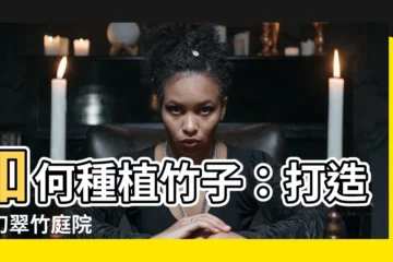 【種竹】如何種植竹子：打造夢幻翠竹庭院