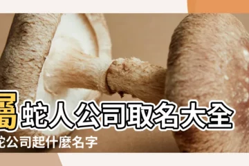 【生肖蛇公司名字大全】屬蛇人公司取名大全屬蛇公司起什麼名字 |屬蛇的開公司起名大全獨特有創意的公司名字 |生肖屬蛇吉祥公司名字大全起名寓意好的字 |