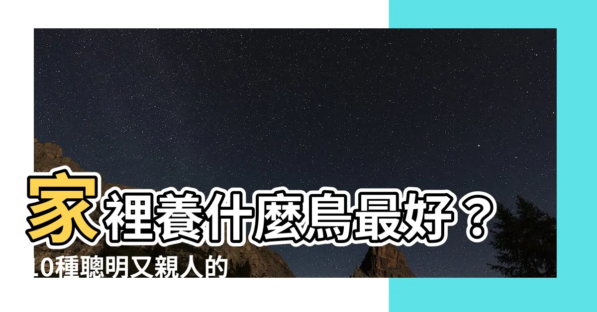 【家裡養什麼鳥最好】家裡養什麼鳥最好？10種聰明又親人的寵物鳥推薦！