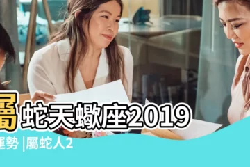 【屬蛇天蠍座運勢2019年運勢如何】屬蛇天蠍座2019年運勢 |屬蛇人2019年度運勢 |屬蛇2019年運勢及運程2019年屬蛇人的全年運勢 |