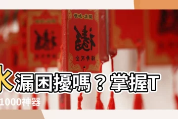 【水漏】水漏困擾嗎？掌握Top 1000神器，完美解決你的漏水問題！