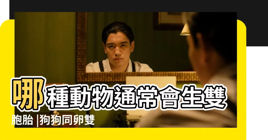 哪種動物通常會生雙胞胎 |狗狗同卵雙胞胎正式確認 |簡直跟人類雙胞胎一樣 |【什麼動物雙胞胎】