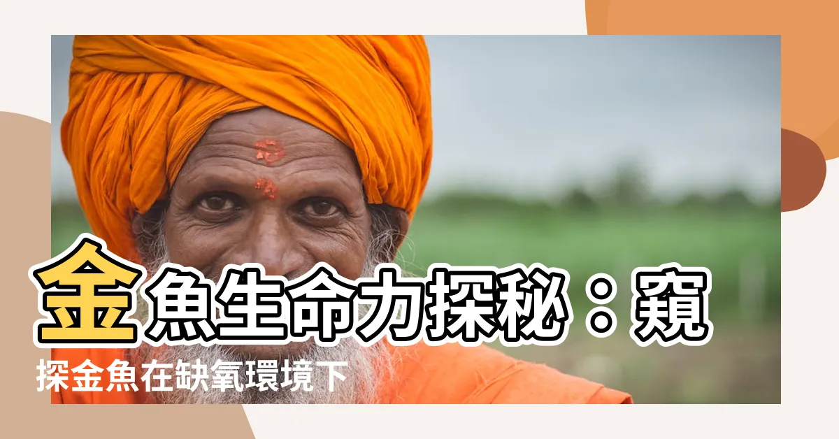 【金魚 生命力】金魚生命力探秘：窺探金魚在缺氧環境下存活五個月的秘訣！