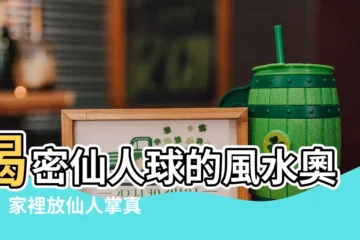 【仙人球風水】揭密仙人球的風水奧秘！家裡放仙人掌真的不好嗎？