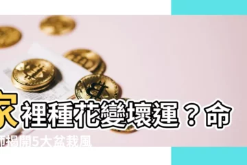 【家裡種花風水】家裡種花變壞運？命理師揭開5大盆栽風水禁忌！