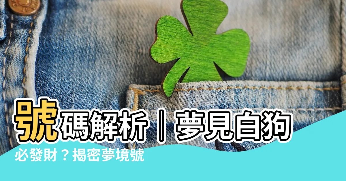 【夢見白狗號碼】號碼解析｜夢見白狗必發財？揭密夢境號碼，讓你一夕致富！