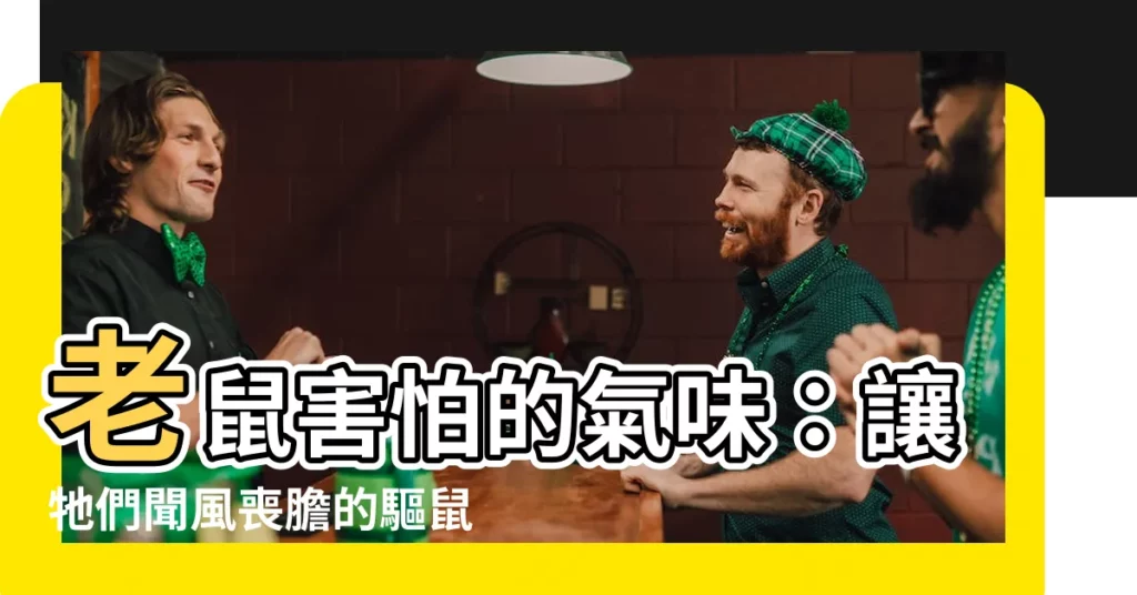 【老鼠怕的味道】老鼠害怕的氣味：讓牠們聞風喪膽的驅鼠法！