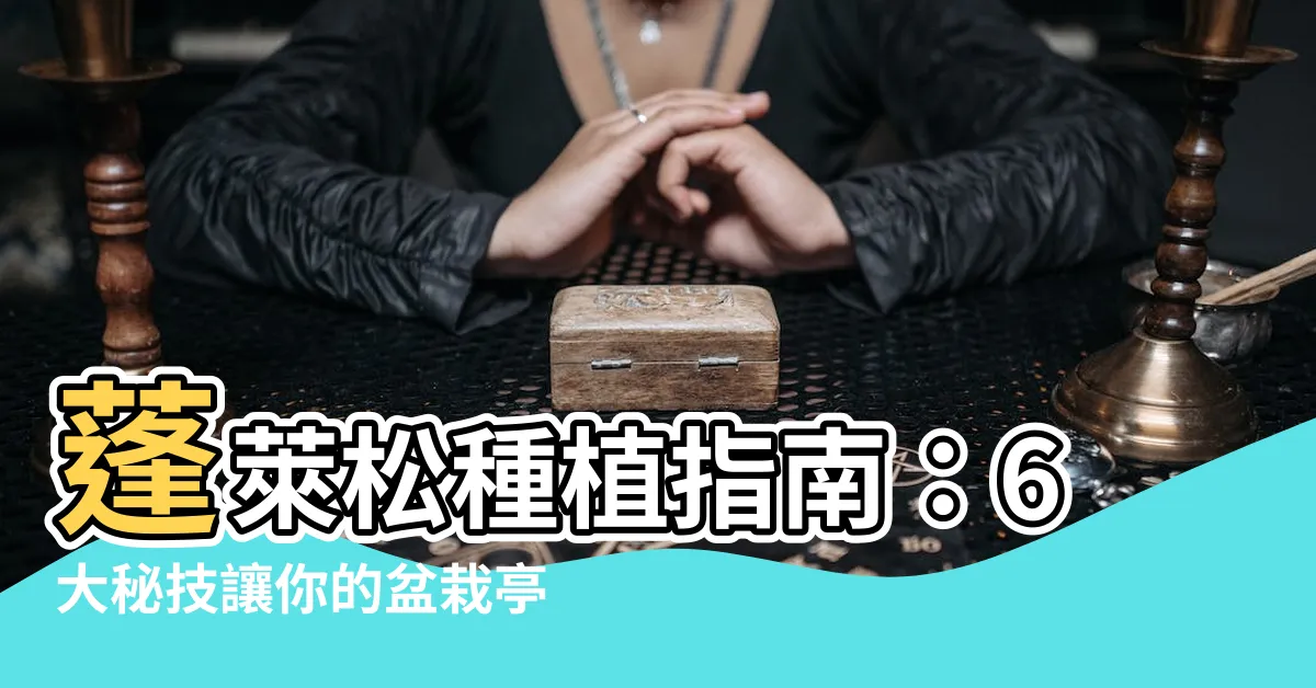 【蓬萊松種植】蓬萊松種植指南：6大秘技讓你的盆栽亭亭玉立