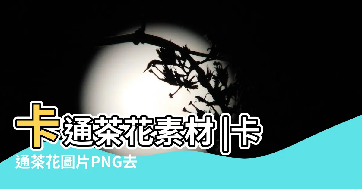 【卡通茶花】卡通茶花素材 |卡通茶花圖片PNG去背圖 |卡通及圖標 |