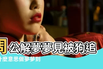 【夢見狗追着什麼意思意思】周公解夢夢見被狗追是什麼意思做夢夢到被 |夢見被狗追 |夢見狗追著我 |