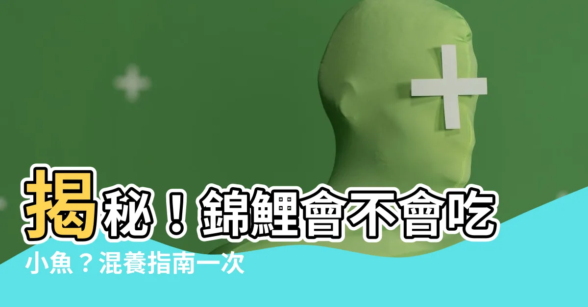 【錦鯉會吃小魚嗎】揭秘！錦鯉會不會吃小魚？混養指南一次搞懂