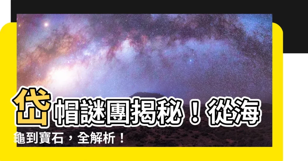 【岱帽】岱帽謎團揭秘！從海龜到寶石，全解析！