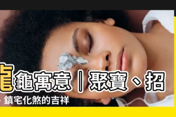【龍龜寓意】龍龜寓意｜聚寶、招財、鎮宅化煞的吉祥神獸！