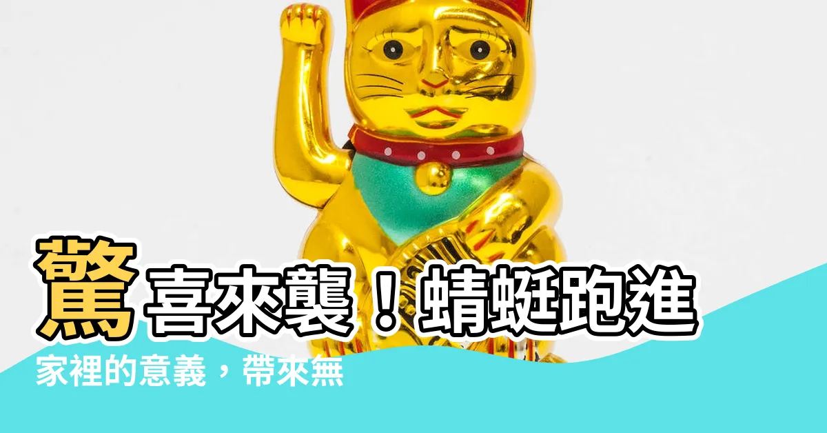 【蜻蜓跑來家裡】驚喜來襲！蜻蜓跑進家裡的意義，帶來無窮祝福！