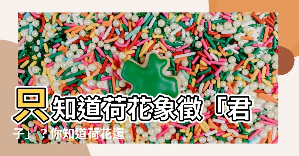 【荷花代表什麼】只知道荷花象徵「君子」？你知道荷花還代表著什麼嗎？