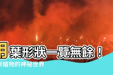 【葉形狀】用葉形狀一覽無餘！探索植物的神秘世界