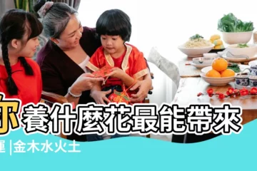 【五行 代表的花】你養什麼花最能帶來財運 |金木水火土全在這裡了 |以火為五行的花有哪些 |